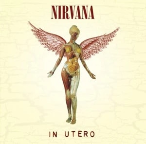 Nirvana Album Cover